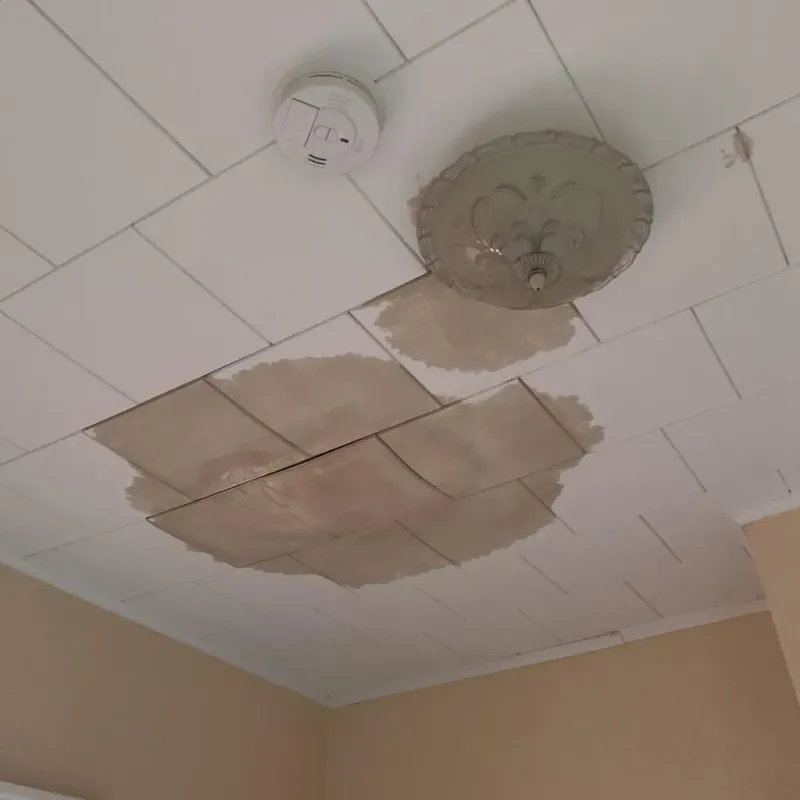 Ceiling Water Damage Repair in Marathon, WI