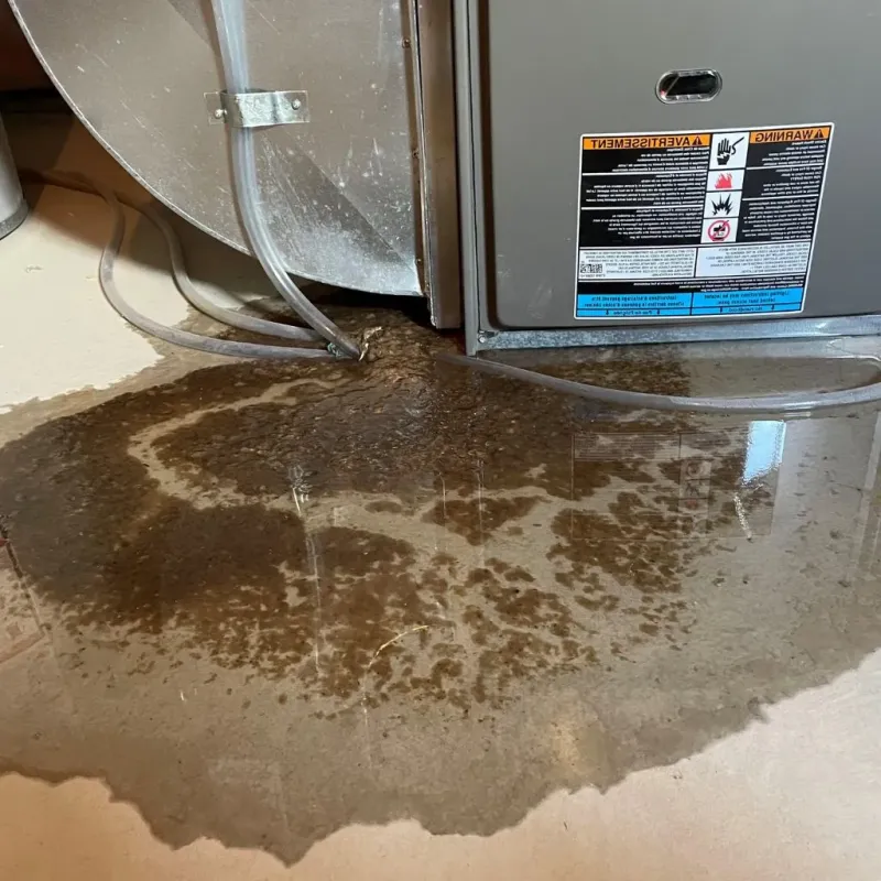 Pipe Burst and Leak Restoration in Marathon, WI